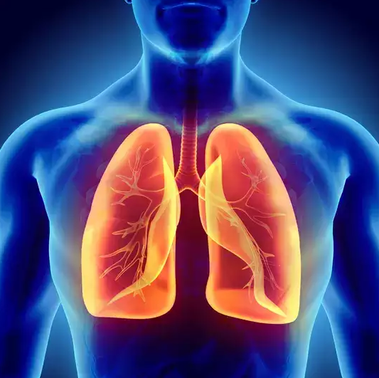 Breath of Life - 25 Awesome facts about human lungs | Olympiad tester