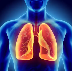 Breath of Life - 25 Awesome facts about human lungs