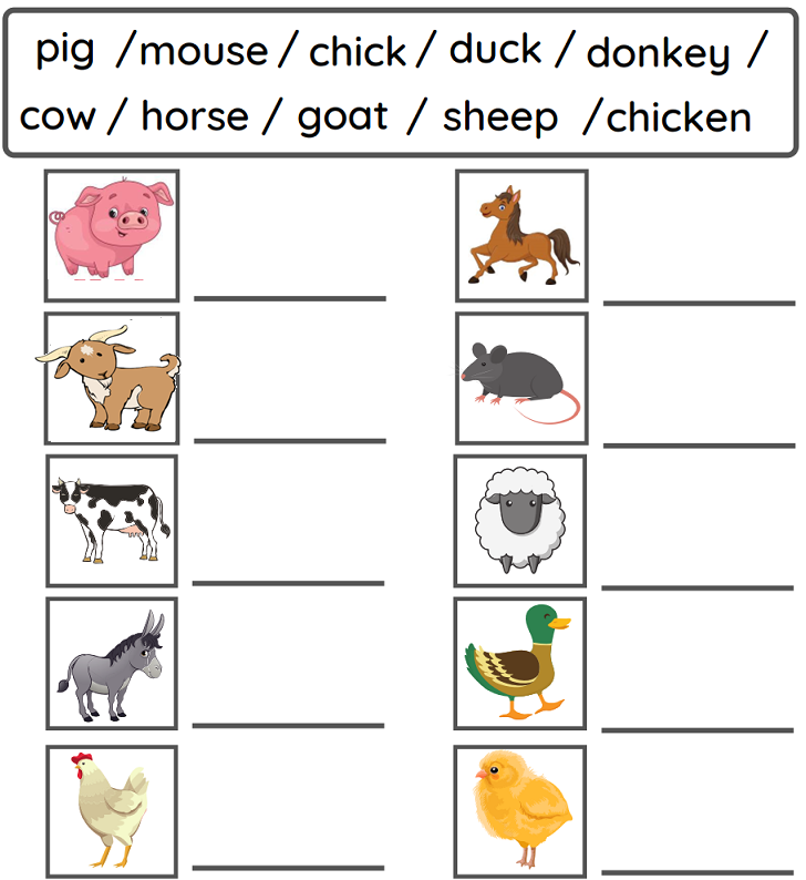 Free Kindergarten Worksheets - Animals 06 | Olympiad tester