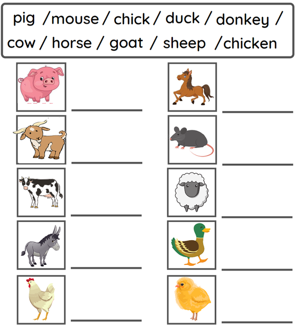 Download this free printable preschool PDF worksheet. This free printable kindergarten science PDF worksheet can be used by LKG, UKG and Montessori kids.