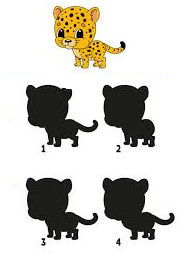 Shadow Matching Worksheet #57