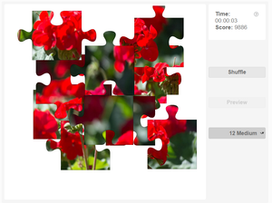 Puzzle - Flowers - Geranium