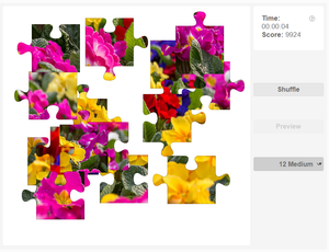 Puzzle - Flowers - Primrose