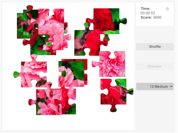 Online jigsaw puzzles - Flowers - Begonia