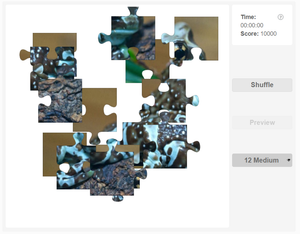 Amazon milk frog online jigsaw puzzle