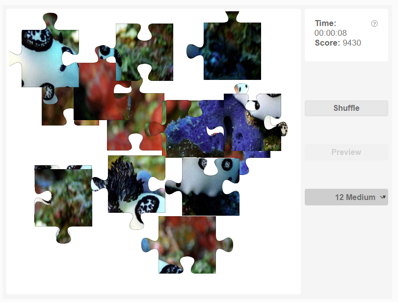 Nudibranch Online Jigsaw puzzle Olympiad tester