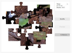 Dung beetle Jigsaw puzzle