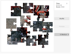 Christmas Island Red Crab Jigsaw puzzle