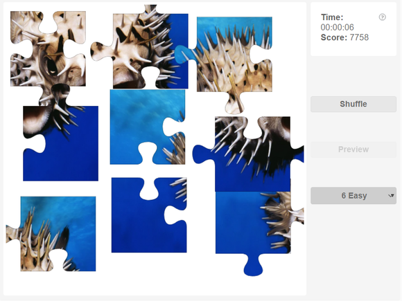 Online jigsaw puzzle - Fish - Pufferfish - Olympiad tester