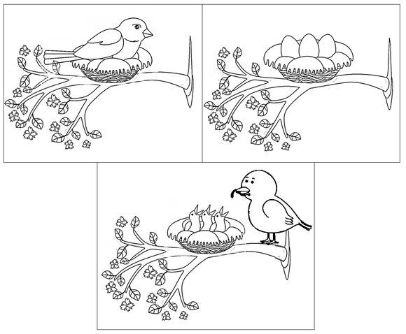 This free Kindergarten and Preschool worksheet is in PDF form . This printable worksheet of kindergaten and preschool teaches the basics of science with a special focus on the hatching process of birds.