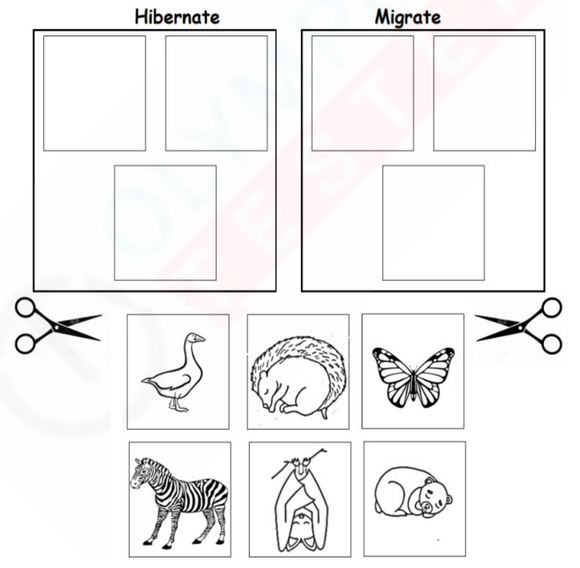 Kindergarten worksheet with pictures of animals sorted into two groups based on their winter behaviors.