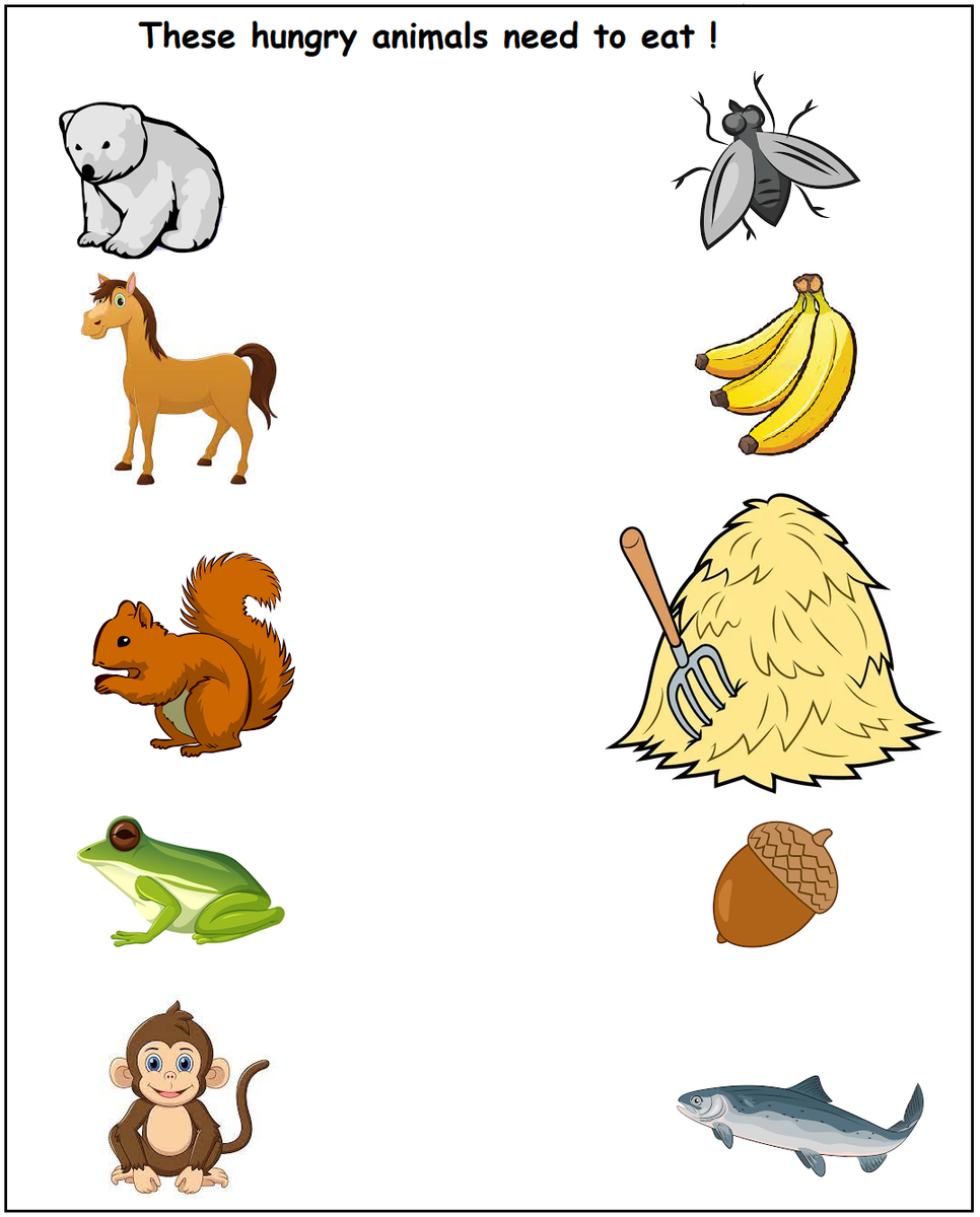 Free Printable Science Worksheet for Preschool - Animals 44 | Olympiad ...