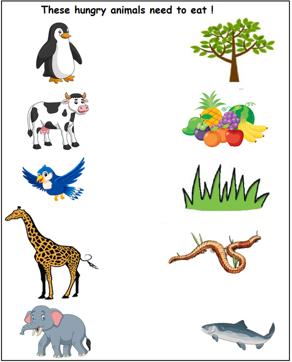 Download free kindergarten and preschool worksheet on what animals eat. This animal worksheet for kindergarten and preschool can be used by LKG, UKG and Montessori kids.