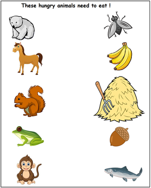 Free Printable Science Worksheet for Preschool - Animals 44