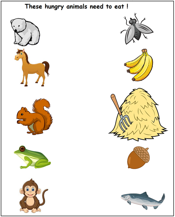 Download free kindergarten and preschool worksheet on animals and their food.