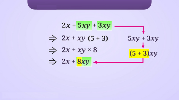 Class 7 IMO test on - Algebraic expressions