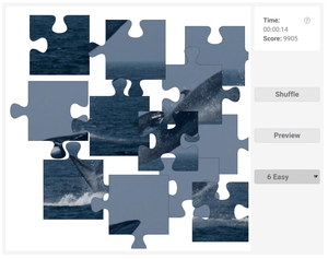 Fin Whale Jigsaw Puzzle Game