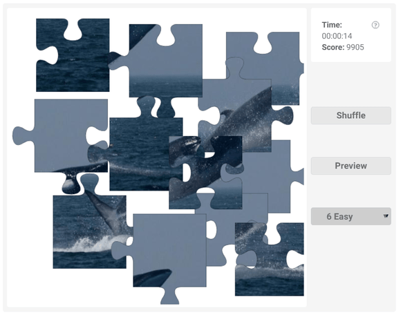 Online Jigsaw puzzle animals | Fin Whale