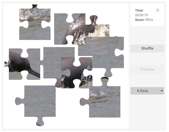 Online jigsaw puzzle - Ganges river dolphin