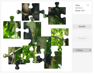 Bonobo Jigsaw Puzzle - An endangered Ape