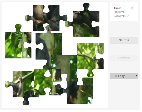 Online Jigsaw puzzle for kids - Bonobo - Olympiad tester