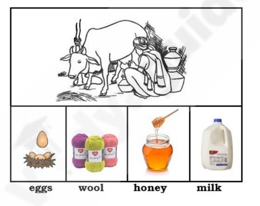 Download free printable Preschool worksheets - 77