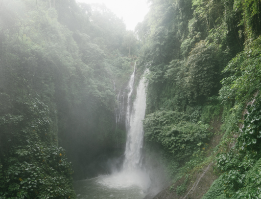 class 1 NSO questions on air and water used as study material for olympiad preparation for Class 1 NSO and other Class 1 science olympiad exams