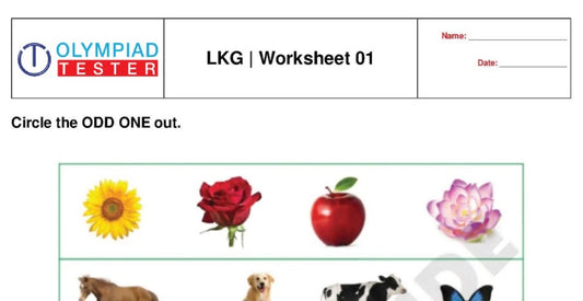 LKG Kindergarten printable worksheets