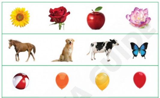 Printable Kindergarten PDF worksheet - LKG #01