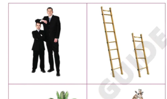 LKG Free printable practice worksheet 03