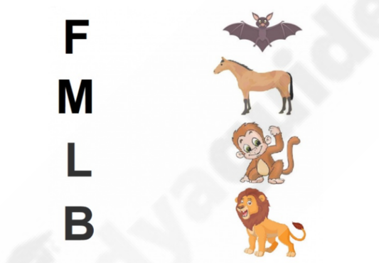 A kindergarten worksheet featuring colorful pictures of different objects and their corresponding beginning sounds, with lines connecting each picture to its matching letter.