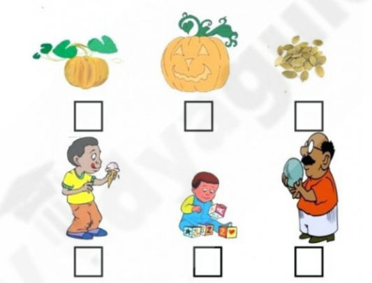 LKG Worksheets PDF free download