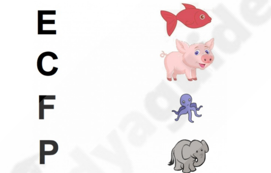 A colorful and engaging letter matching worksheet featuring pictures of different objects and their corresponding beginning sounds.