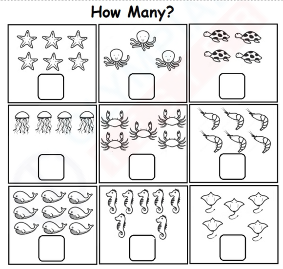 Download our kindergarten math worksheets in PDF format.