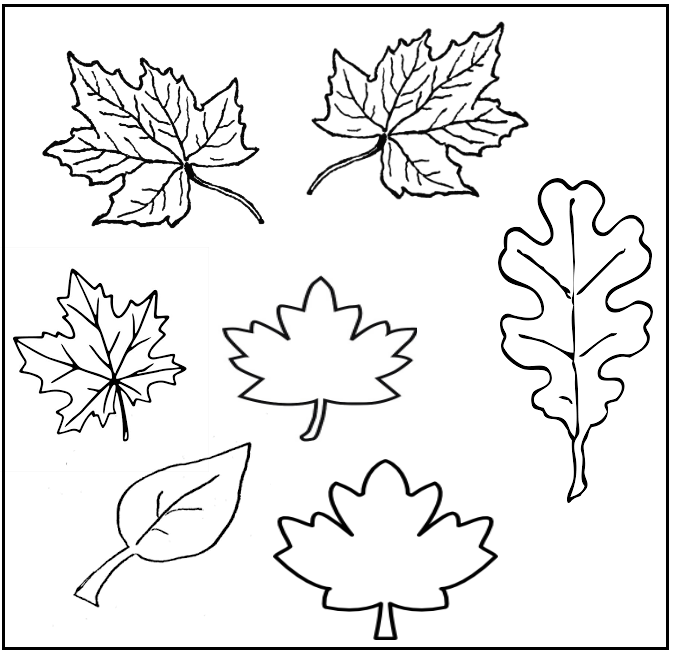 Free Kindergarten Worksheets - Plants 08 | Olympiad tester