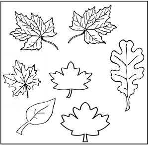 Free Kindergarten Worksheets - Plants 08
