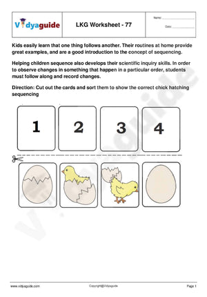 Printable Kindergarten PDF Worksheet - LKG #77