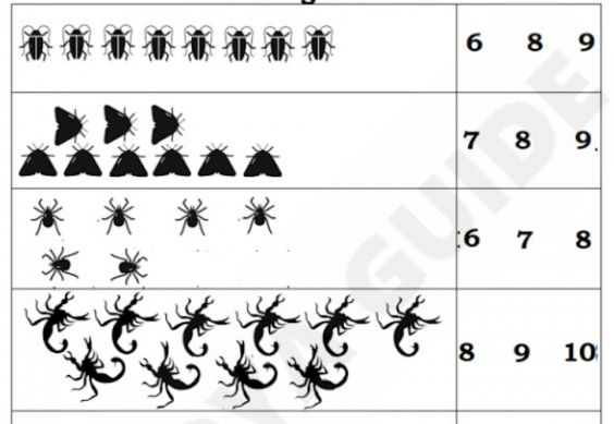 LKG free printable practice worksheet - 33 34 35