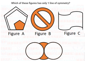 Class 6 Maths - Symmetry - Test 01