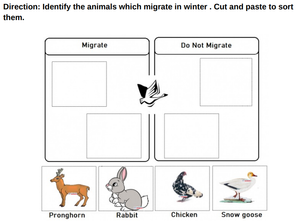 Free Kindergarten Worksheets - Animals 02