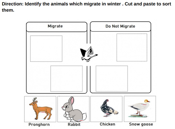 Download free kindergarten worksheets on animals in PDF form and help your child learn about animal facts in a fun way! 