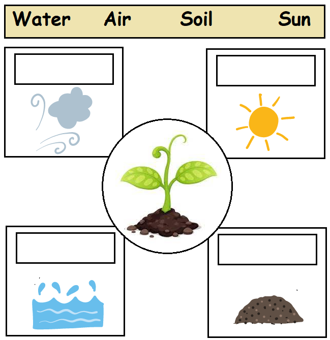 Free Kindergarten Worksheets - Plants 05 | Olympiad tester