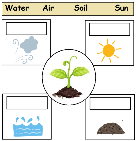 Download this free kindergarten worksheet for free. This worksheet for kindergarten is on what plants need to grow.