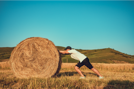 Class 4 NSO Prep - Daily test #3 - Olympiad tester