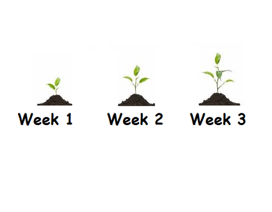 NSO Mock Test for Class 2