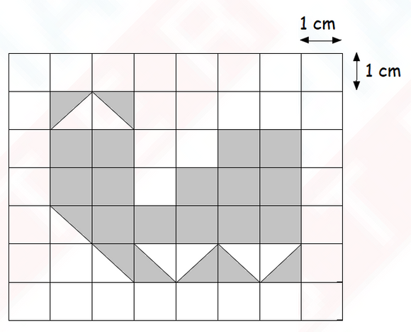 Class 3 IMO previous years SOLVED question papers