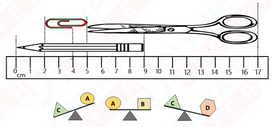 Sample test for Grade 2 on Length, Weight and Capacity