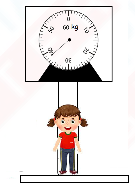 Class 2 IMO Mock Test for Maths Olympiad