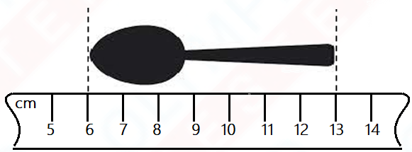 Sample Test for Grade 2 on  Length, Weight and Capacity