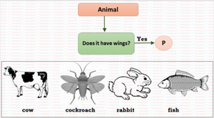 NSO Sample test for Class 2 on Animals